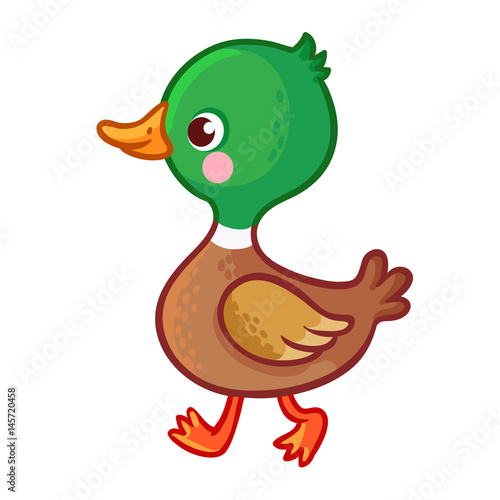 Vector illustration with a bird in cartoon style.