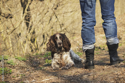 Woman and brown cocker spaniel in the forest