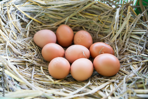 Hen eggs in straw ,fresh farmer's egg.
