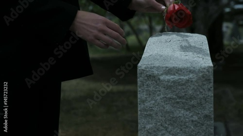 slow motion woman's hands placing rose on grave stone in cemetery