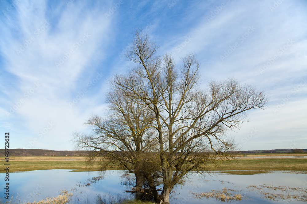 springtime flood on the river oder springtime flood on the river oder