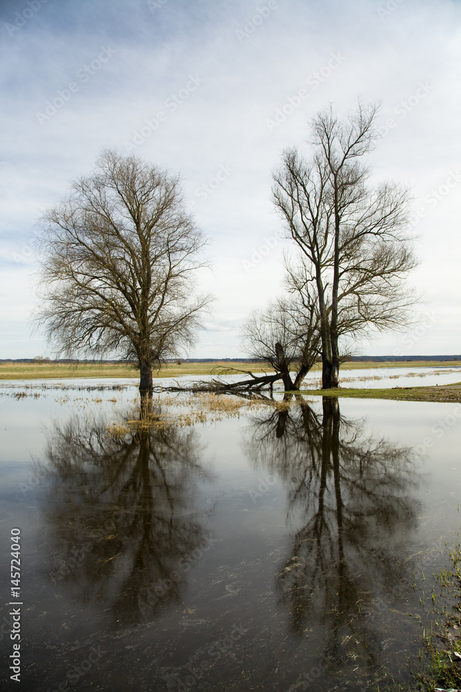 springtime flood on the river oder springtime flood on the river oder