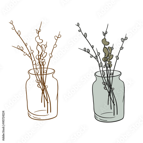 Pussy-willow in the bank
