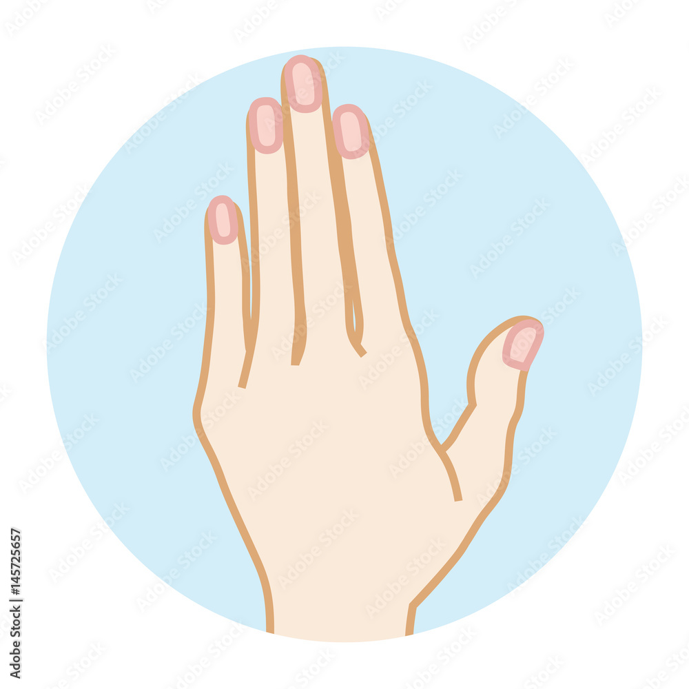 Obraz premium Female Clean hand -Front view 女性の手 正面