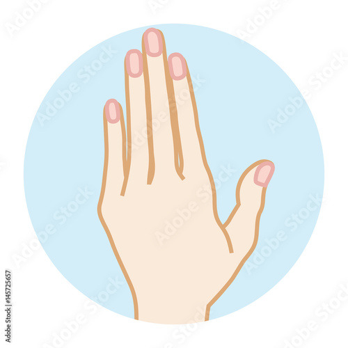 Female Clean hand -Front view　女性の手　正面