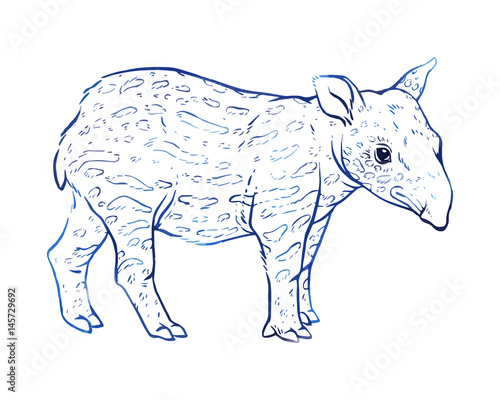 Hand drawn vector tapir