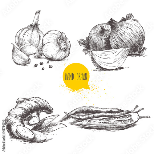 Hand drawn sketch style set illustration of different spices isolated on white background. Garlics with cloves and black peppers, ginger root, onions and sliced red hot chili peppers.