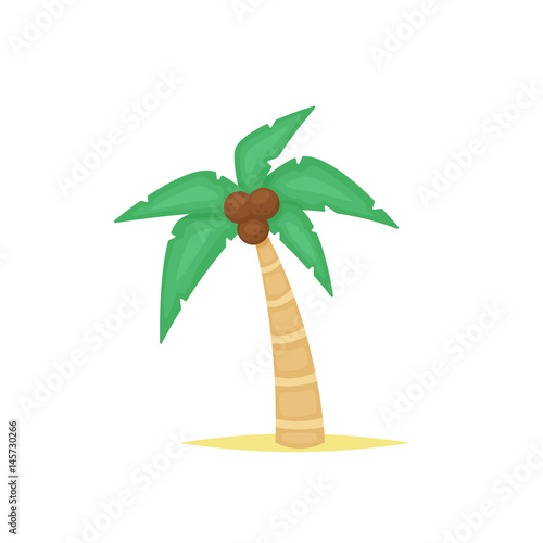 Palm tree vector isolated