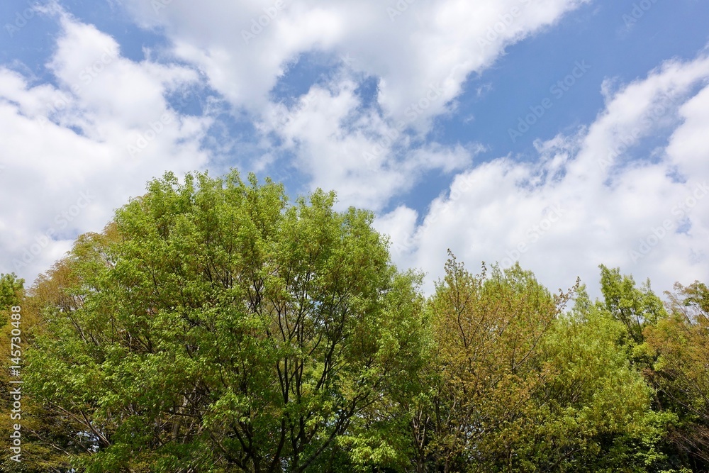 春の空 春の空