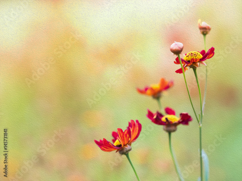 flower with photoshop filter oil paint