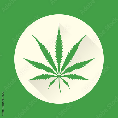 vector color cannabis marijuana illustration .