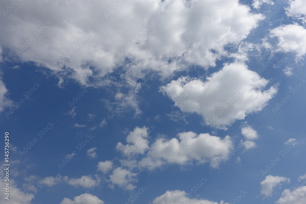 Obraz premium 春の青空
