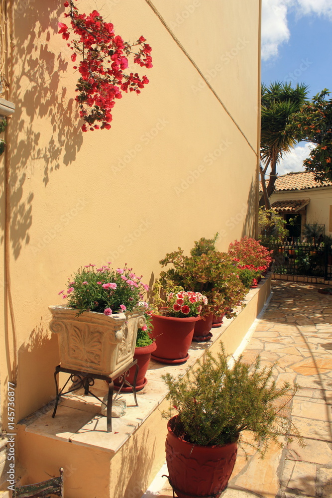 red terracotta flower herb plant pots along a curved yellow wall	