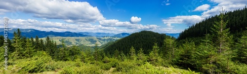 Panoramic top trees view of Carpathian mountains and cloudy skys. High view