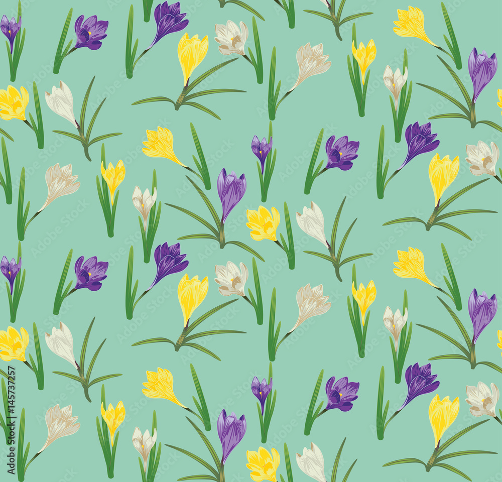 Colorful Crocus Flowers Colorful Crocus Flowers