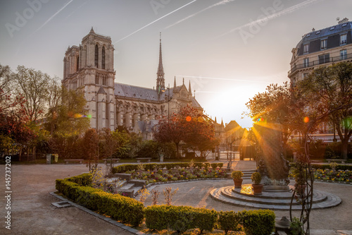 Paris, Notre Dame cathedral against sunrise in France