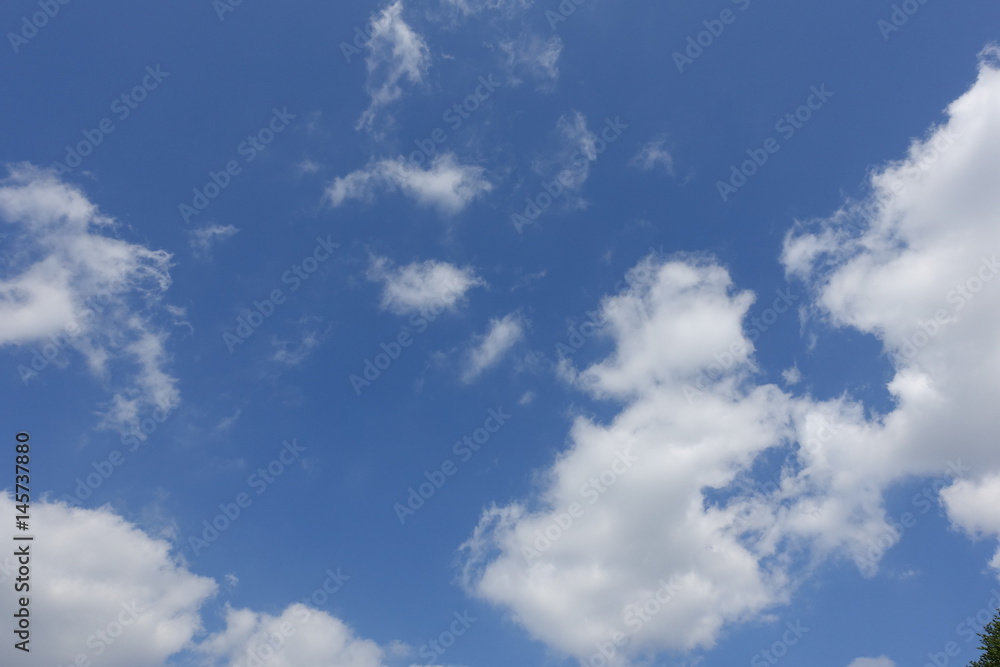 Naklejka premium 春の青空