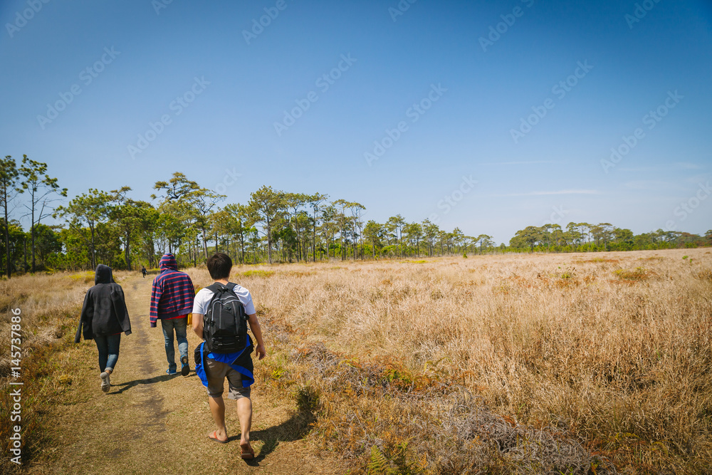 Tourist walking in forest Phu Kradung, Thailand. Tourist walking in forest Phu Kradung, Thailand.