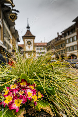 Altstadt von Murten mit Berntor und Blumen photo