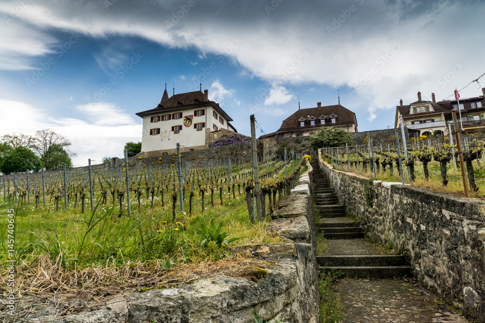 Schloss Erlach mit Weinberg