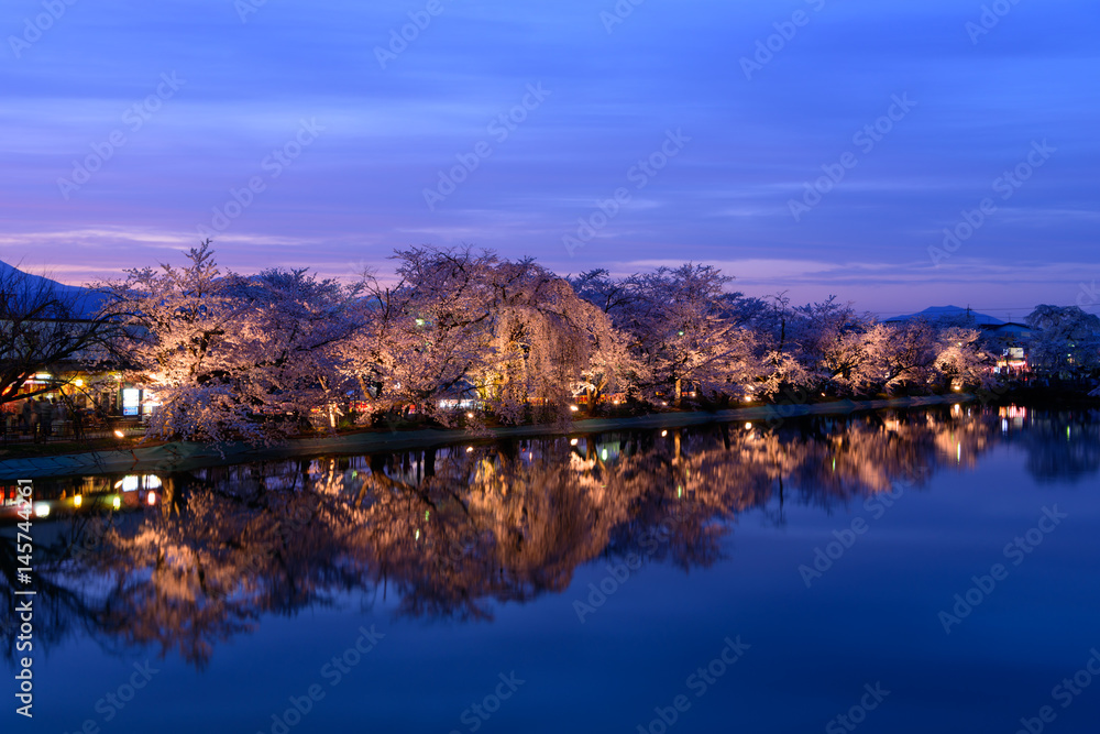 長野　須坂　臥竜公園の桜ライトアップ