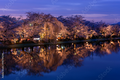 長野 須坂 臥竜公園の桜ライトアップ