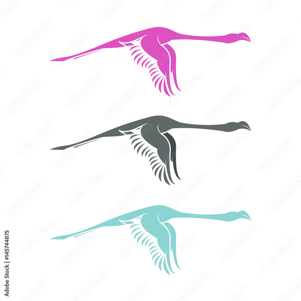 Fototapeta premium Flamingo Vector
