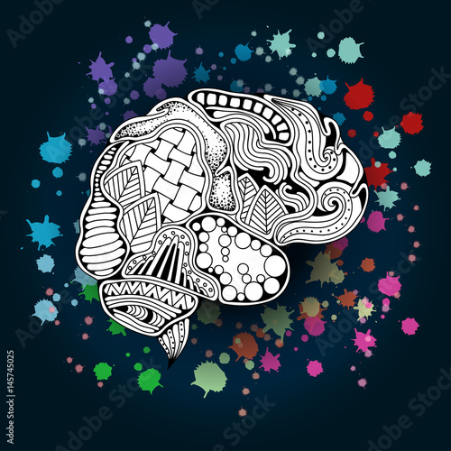 Concept of the human brain. Vector illustration. Zentangle sketchy human brain doodle poster with colorful paint splashes. Creative mind, learning and design