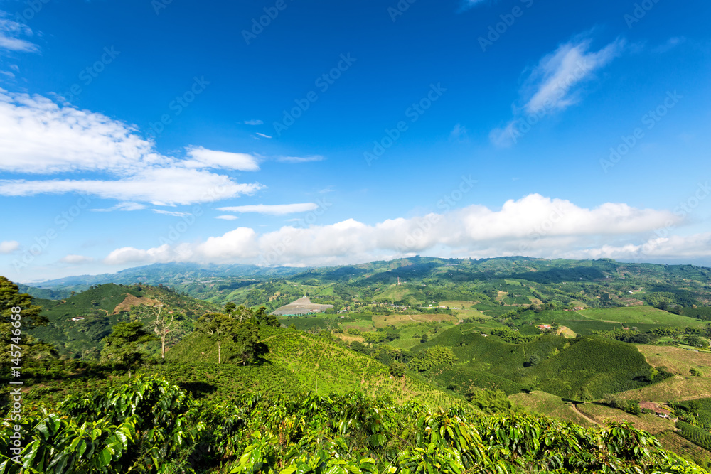 Beautiful view on the top of a mountain on a coffee plantation looking out towards the town of Chinchina, Colombia.