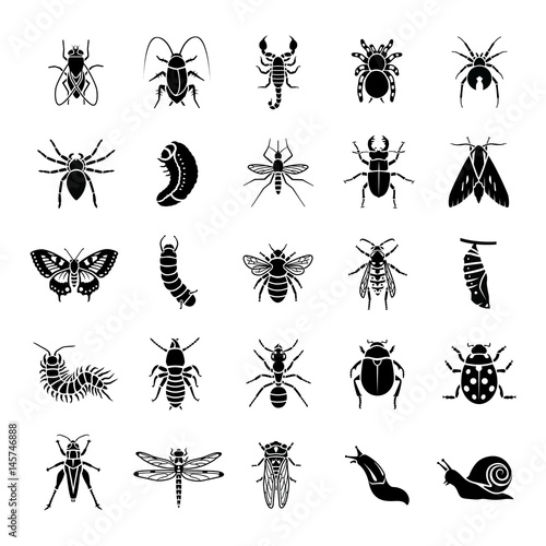 Insects glyph vector icons