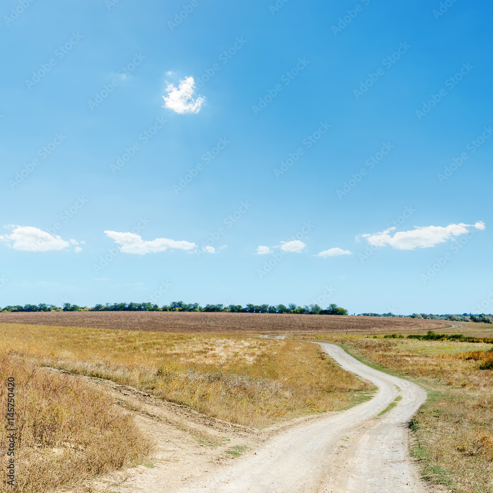 two rural road in hot steppe and blue sky over it two rural road in hot steppe and blue sky over it