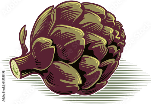 Roman artichokes Freshly harvested.