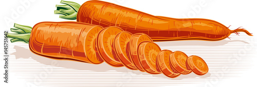 Two carrots on white background.