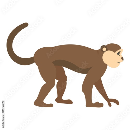 Macaque monkey icon isolated