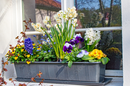 Flower box with various flowers © Marcus Beckert