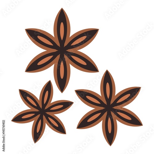 Star anise spice icon isolated