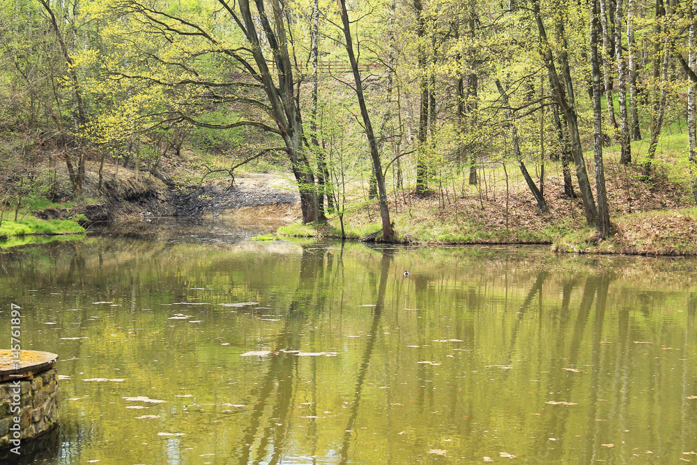 lake in the forest with trees on its bank in spring