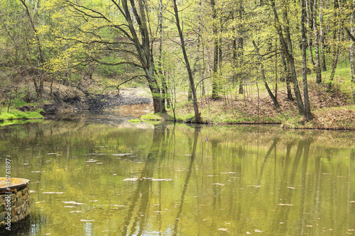 Fototapeta Naklejka Na Ścianę i Meble -  lake in the forest with trees on its bank in spring