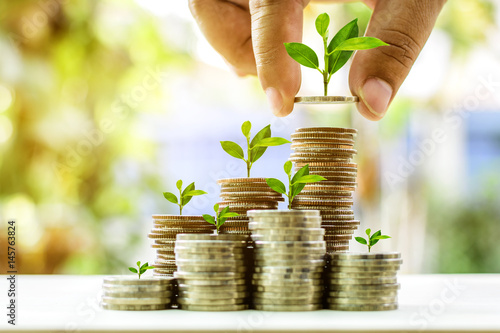 Growing plant on stack coin money for finance and banking growth concept