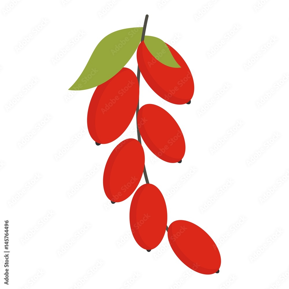 Red berries of cornel or dogwood icon isolated Red berries of cornel or dogwood icon isolated