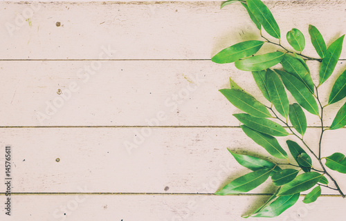 green leaf plant on white wood background