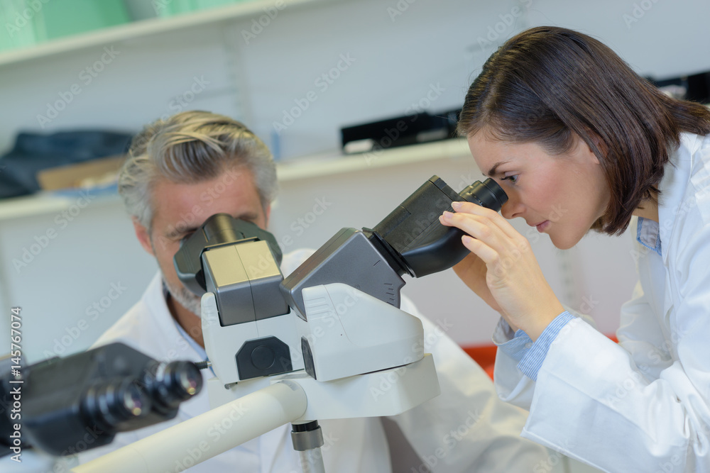 Laboratory technicians using microscopes