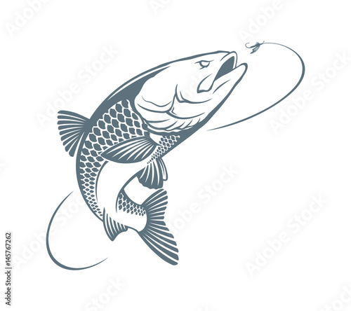 fish chub