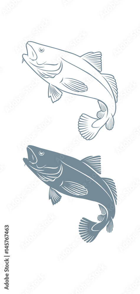 fish cod fish cod
