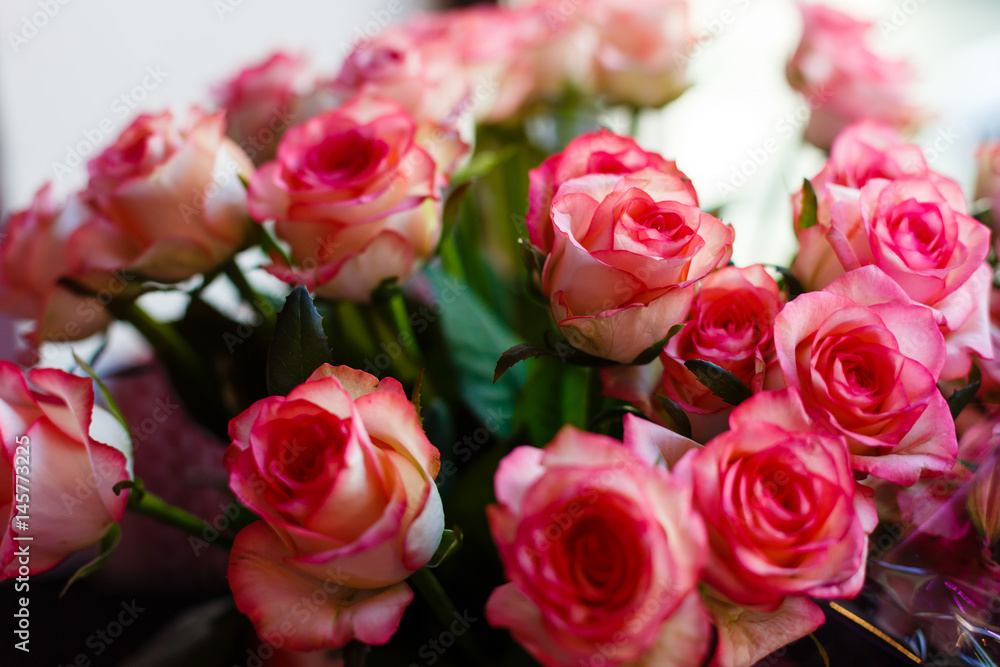 Pink roses for love background Bouquet of pink roses Pink roses for love background Bouquet of pink roses