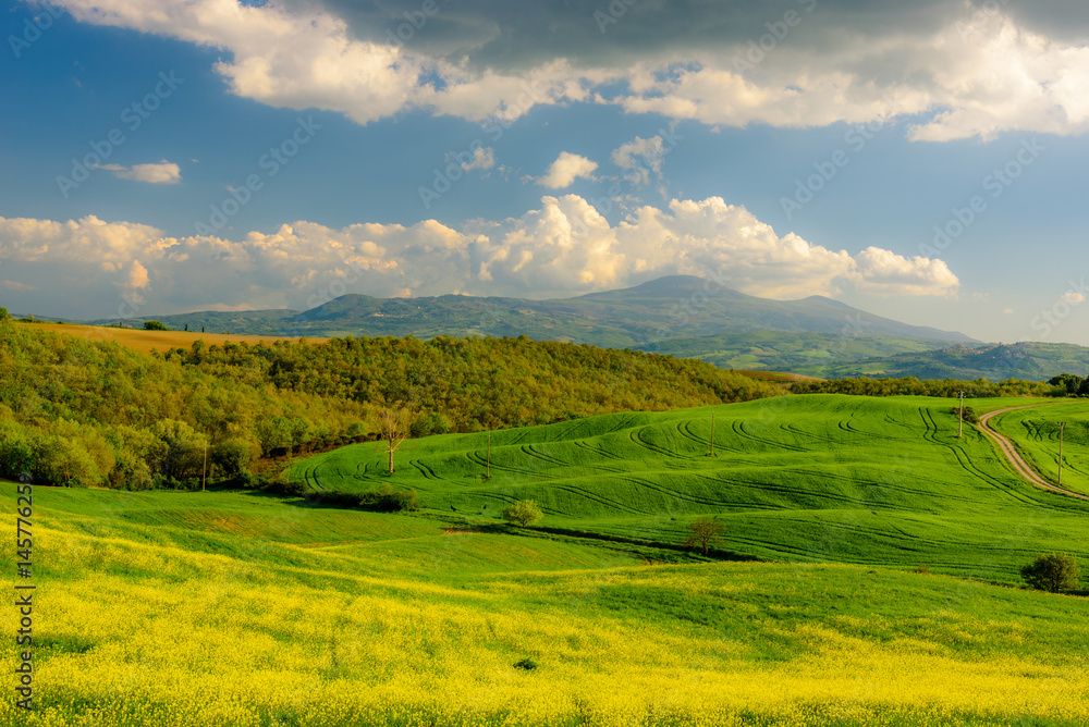 View of Tuscany countryside in spring