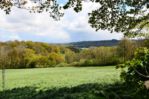 The Countryside Near Llangathen  Carmarthenshire  Wales.