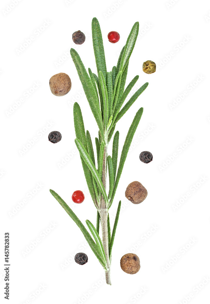 Rosemary twig and peppercorn isolated on a white background