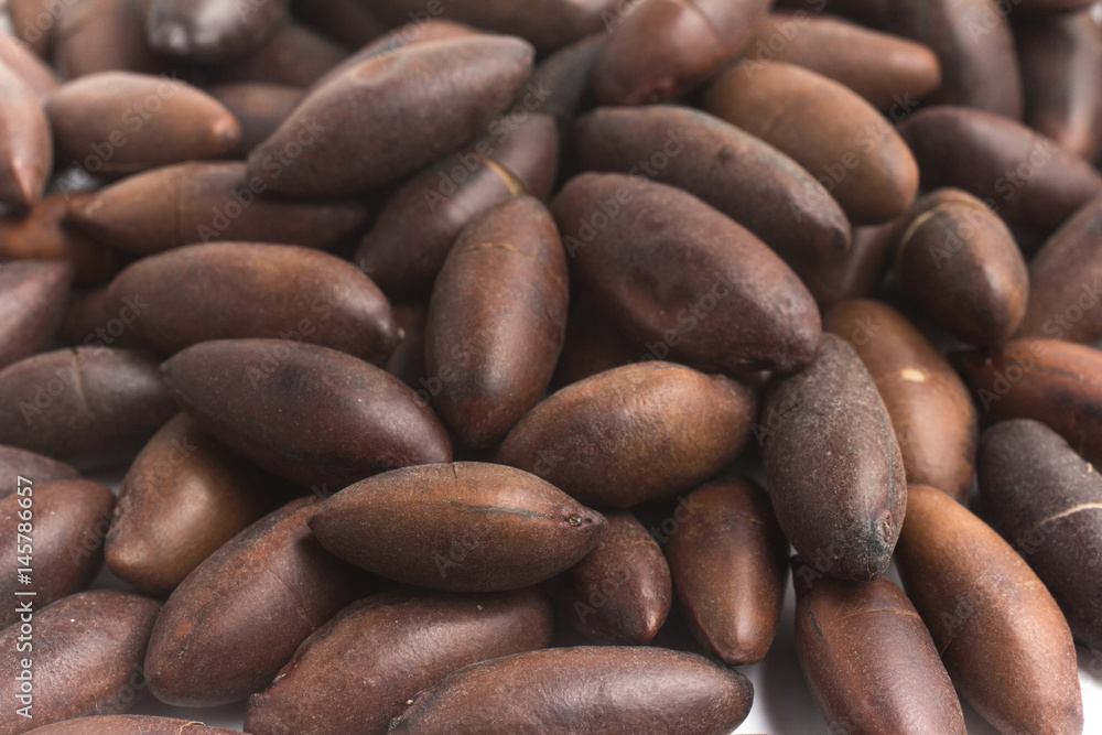 Brazilian Castanha de Baru Nut Brazilian Castanha de Baru Nut
