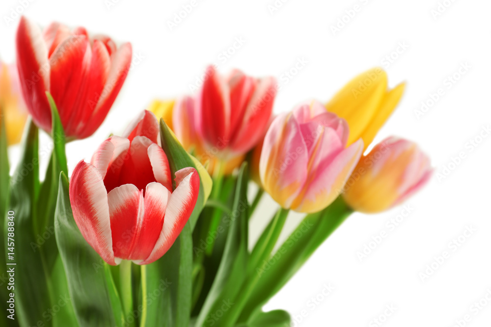 Beautiful bouquet of tulips on white background, closeup Beautiful bouquet of tulips on white background, closeup